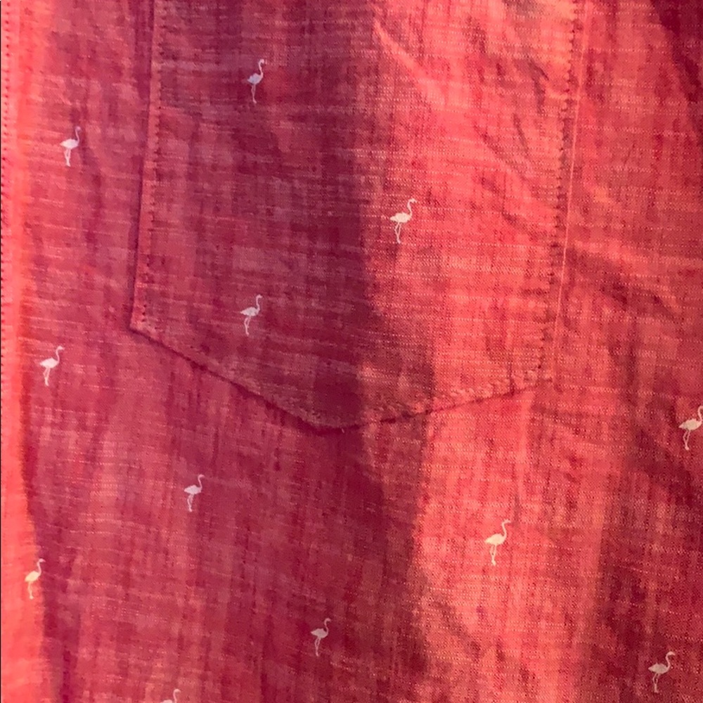 Button down - Picture 2 of 2